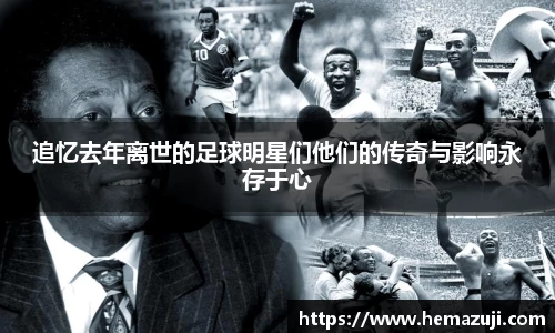 bsports官网入口